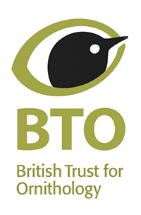 BTO