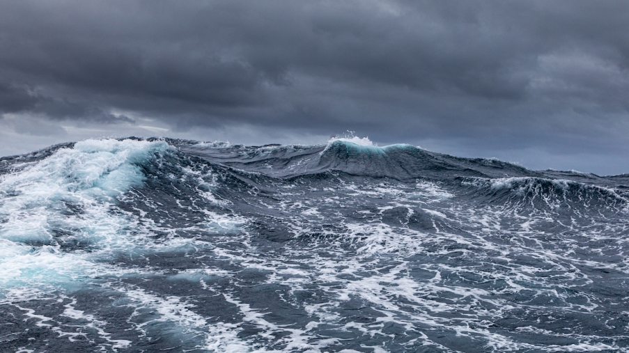 The wild seascape image which Tamzin has auctioned to raise funds towards Hookpods work